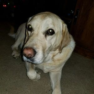 Meet your Posher, Hope